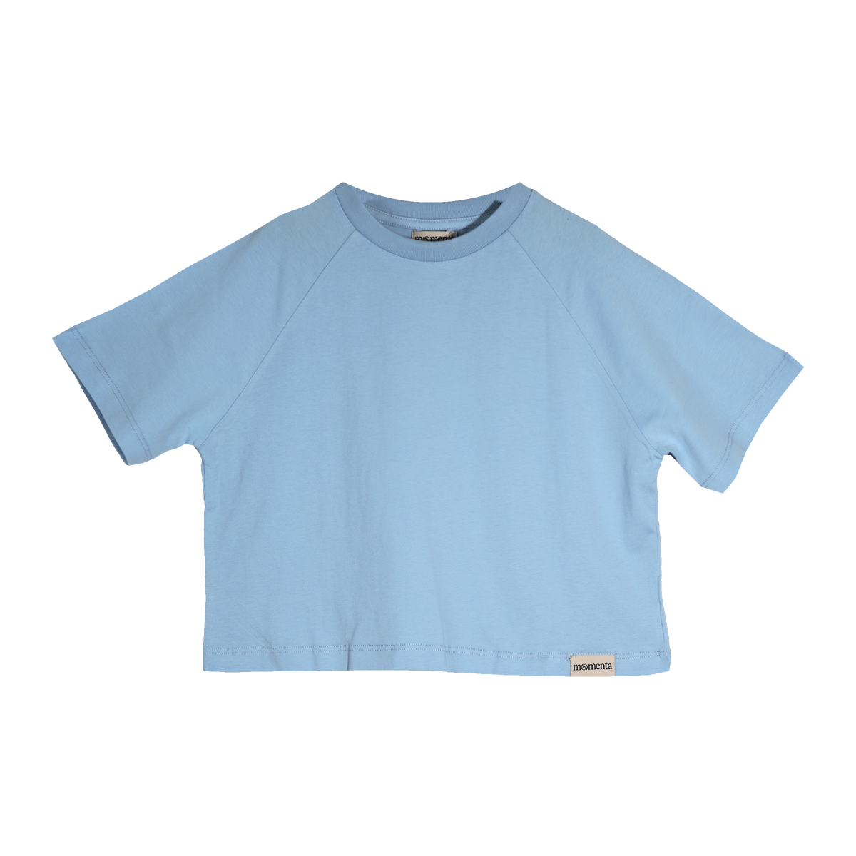 Daisy Oversized SS Tee in Blueberry, front view