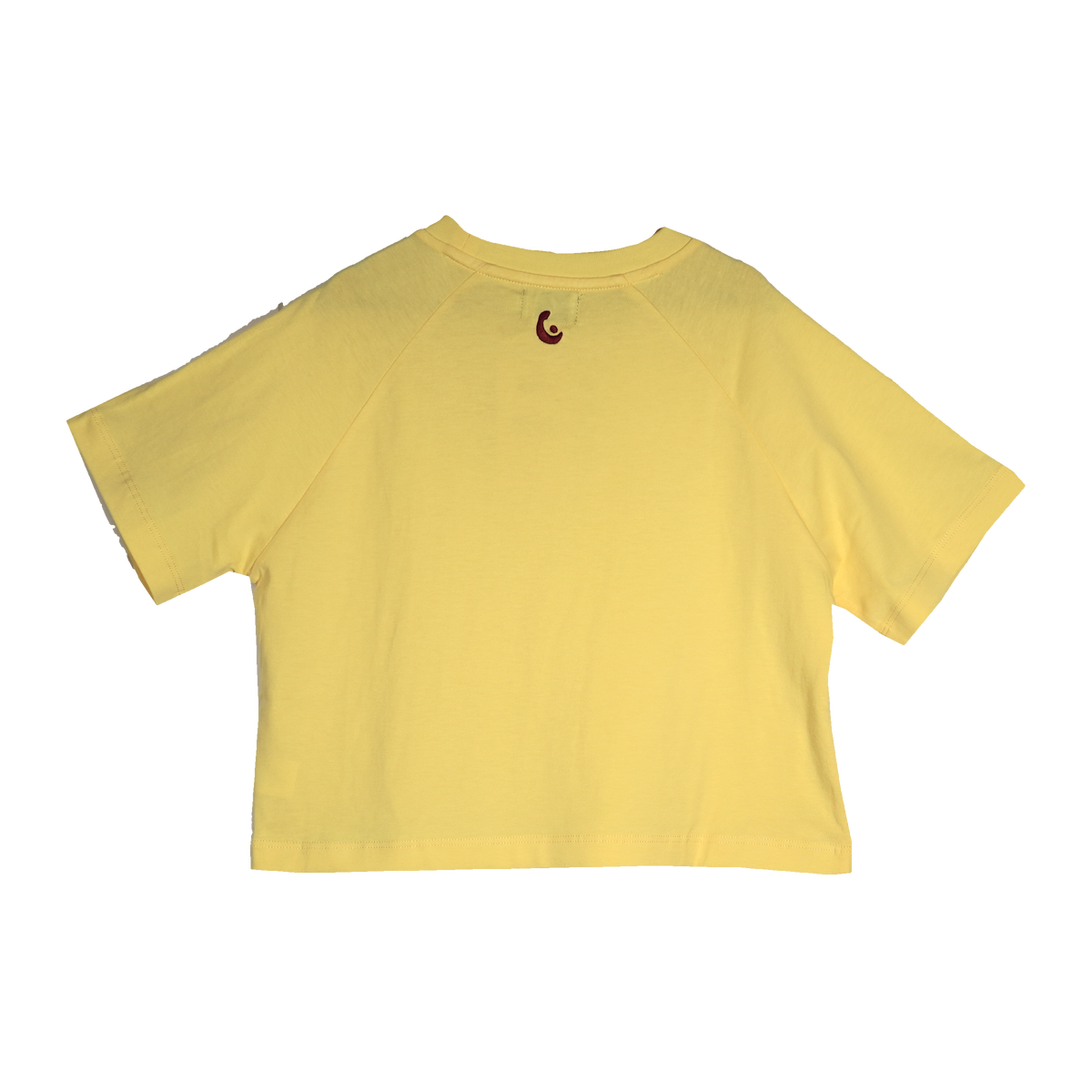 Daisy Oversized SS Tee in Dandelion, back view