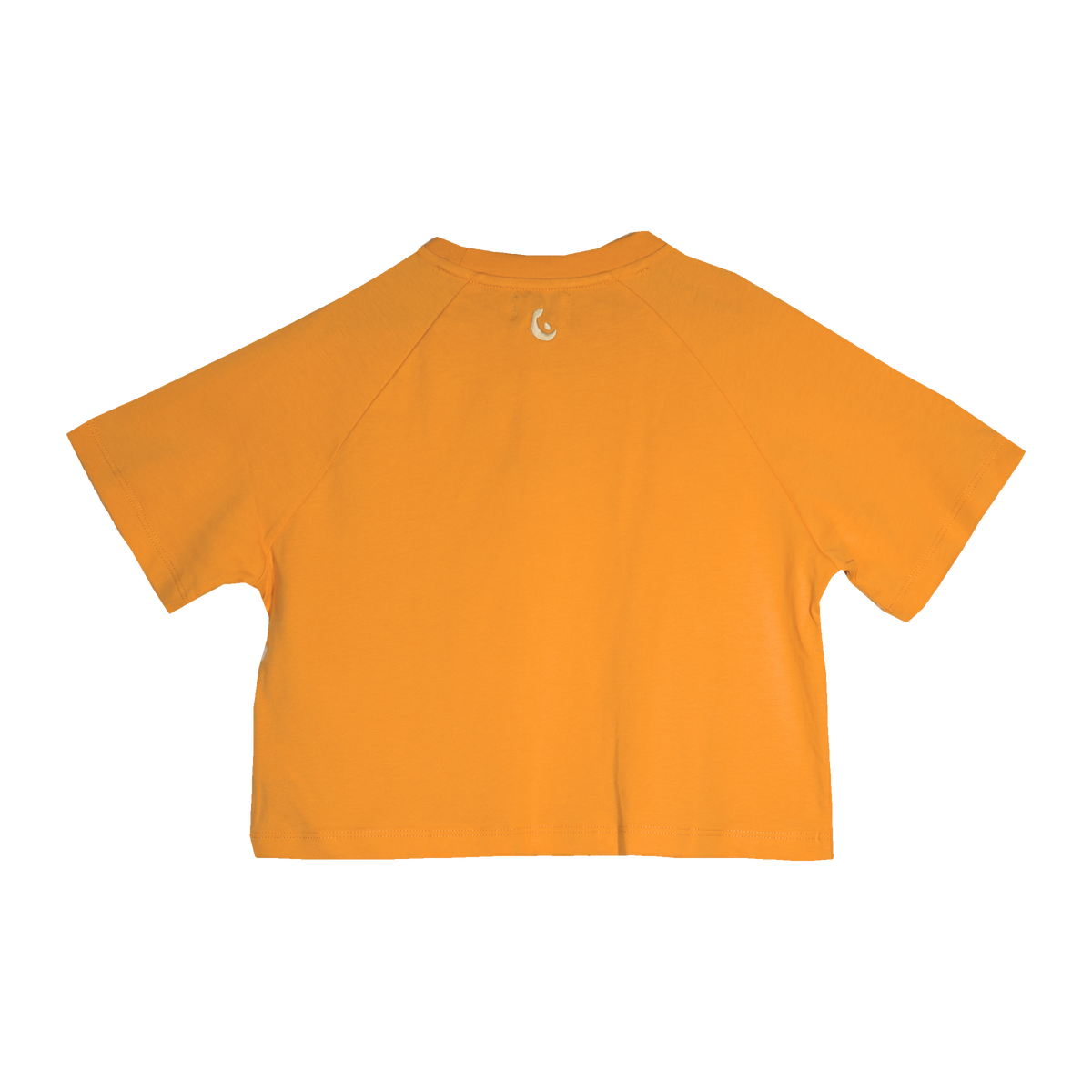 Daisy Oversized SS Tee in Mandarin, back view