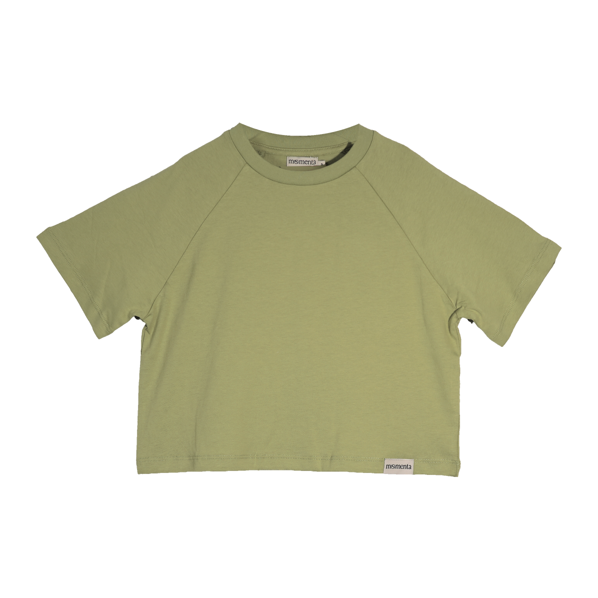 Daisy Oversized SS Tee in Leaf, front view