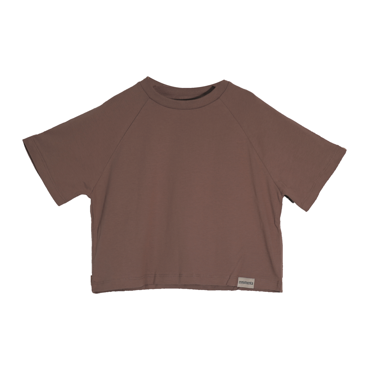 Daisy Oversized SS Tee in Mud, front view